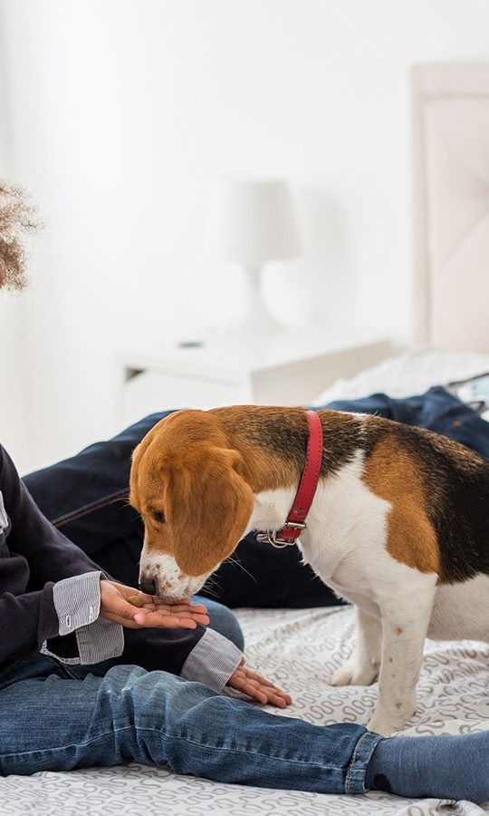 a man and a child sitting on a bed with a dog at The Falltree Apartments